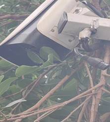 dd518fed932856181241023a674a187